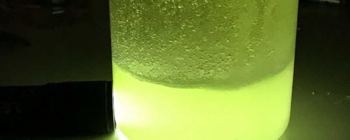 Grün Leuchtende Flüssigkeit in einem Glas