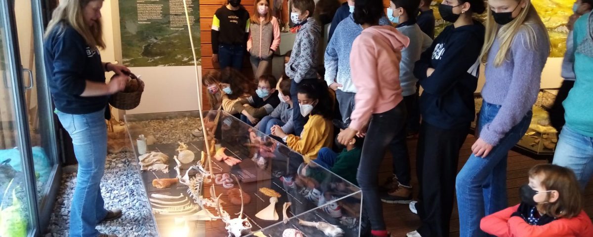 Mehrere Schüler stehen um eine Vitrine in einem Museum