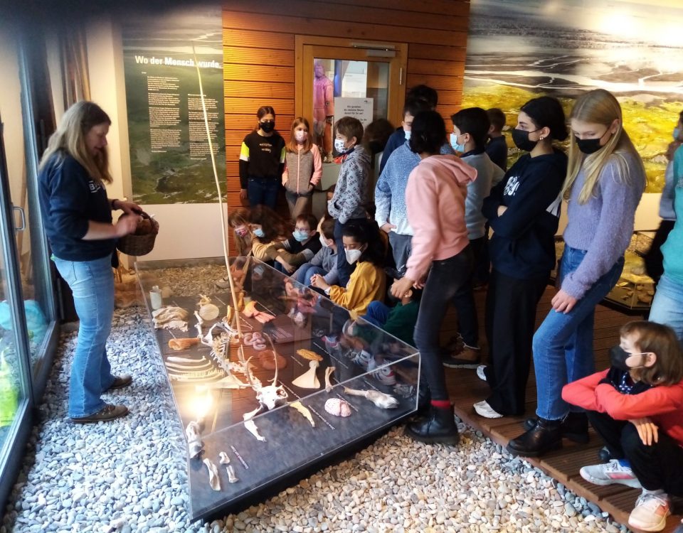 Mehrere Schüler stehen um eine Vitrine in einem Museum