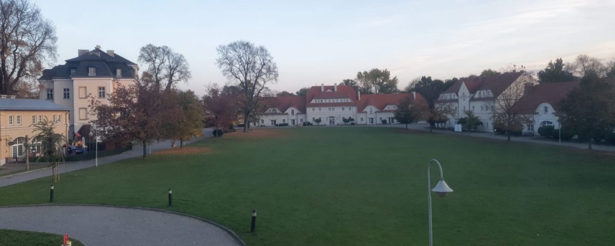 Eine Wiese umgeben von Gebäuden